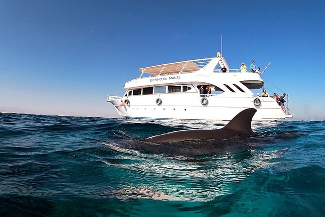 Royal Dolphin House Sea Trip Hurghada - The $16 price and what it includes