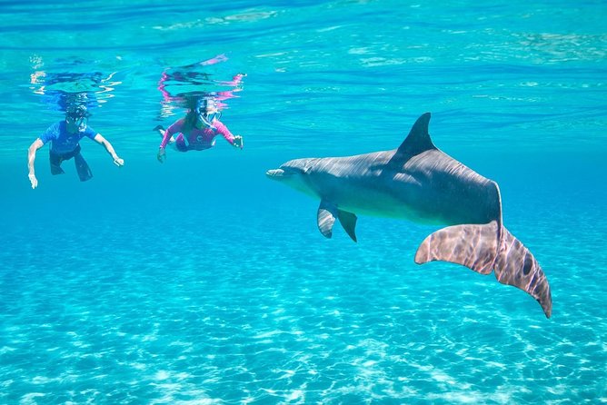 ROYAL Dolphin House & Water Sports Snorkeling Sea Trip - Hurghada - Key points to know before you book