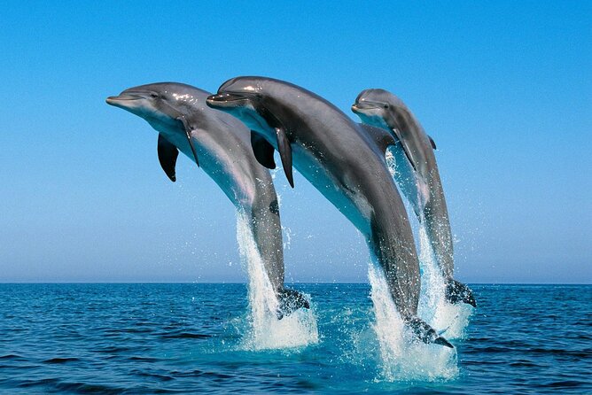 ROYAL Dolphin House & Water Sports Snorkeling Sea Trip - Hurghada - Water sports before the return journey