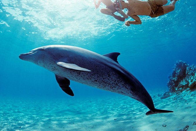 ROYAL Dolphin House & Water Sports Snorkeling Sea Trip - Hurghada - The boat ride across the Red Sea