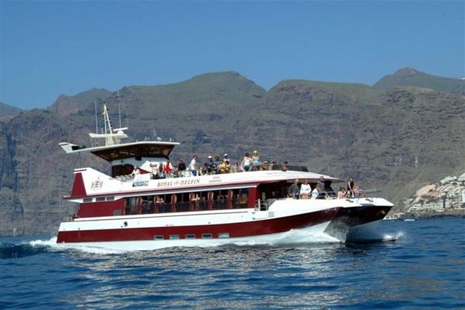 Royal Dolphin Whale watching excursion - Sea Conditions, Clothing, and Comfort