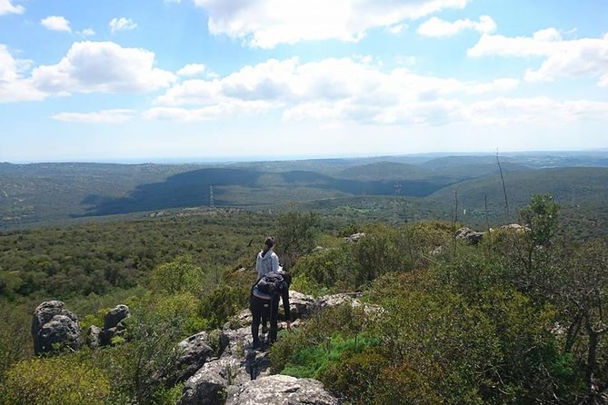 Safari & Boat Tour - Mountains & Dolphins - The Albufeira break: useful, but not a full lunch stop