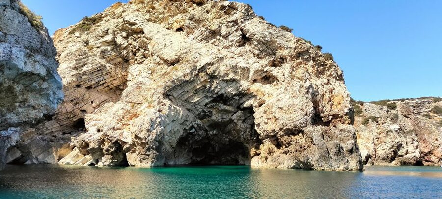 Sagres: Wildlife Tour Dolphins and Caves - The essential points at a glance
