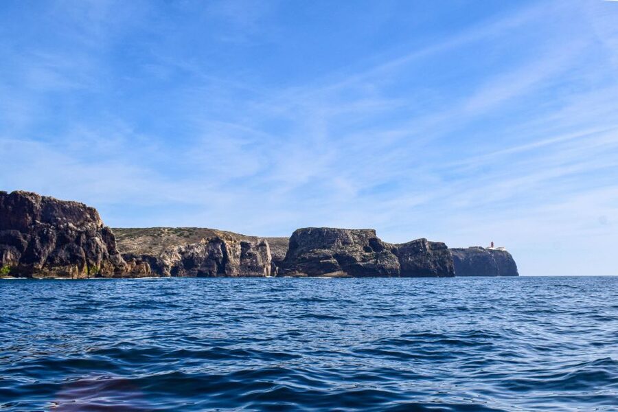 Sagres: Wildlife Tour Dolphins and Caves - Watching dolphins without turning nature into a show