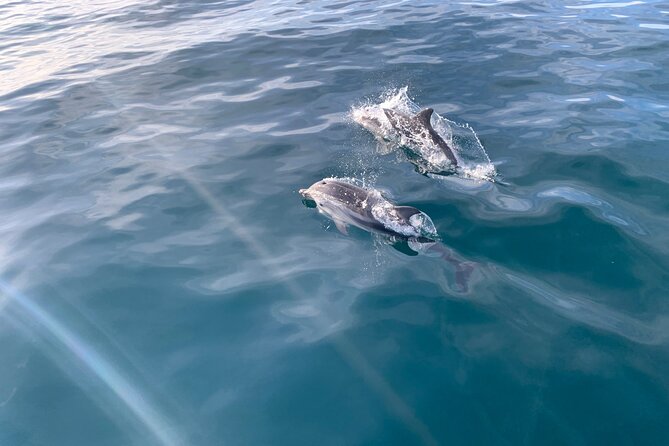 Sailing Adventure: Sailing, Dolphins and Relaxation with Drinks - Setting Sail from Puerto Banús
