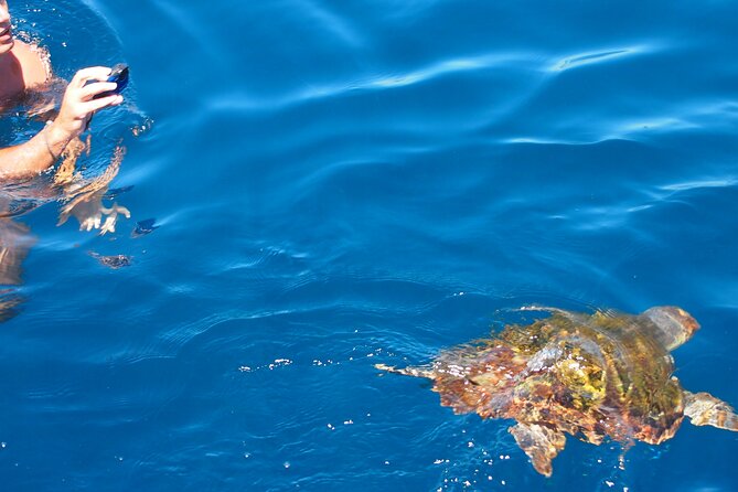 Sailing Boat-always private-always by sail-search for dolphins - Swimming, paddleboarding, and a floating break