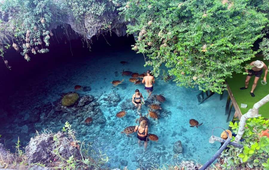 Salaam Cave Tour, Lunch at The Rock, Mnemba Dolphin Tour - Who will get the most from this private day