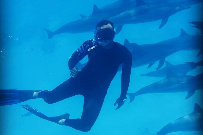 Samadai Dolphin House Snorkel Trip - Marsa Alam - Two 45-minute snorkeling sessions