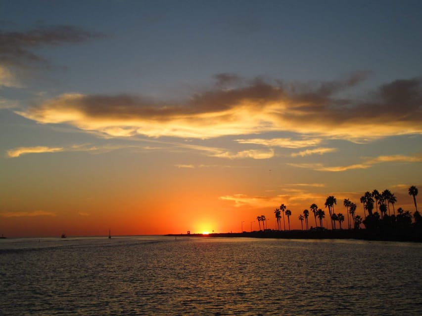 San Diego: Dolphin and Whale-Watching Sunset Cruise - Why this San Diego cruise is worth considering