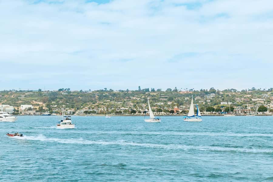 San Diego: Whale and Dolphin Watching Cruise - How to plan your day at Pier 2