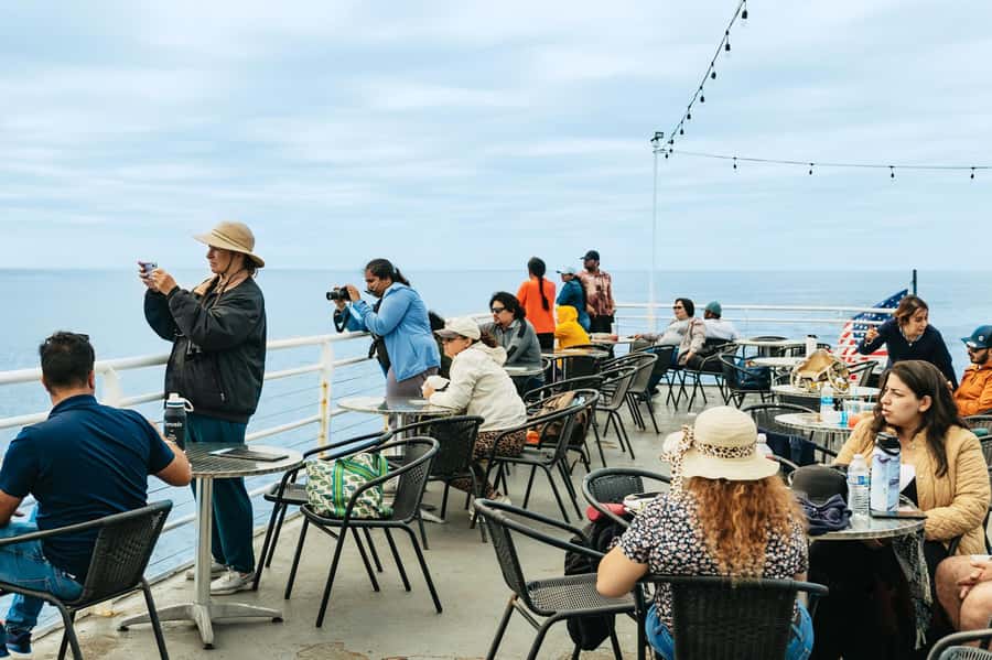 San Diego: Whale and Dolphin Watching Cruise - Captains and Natural History Museum narration