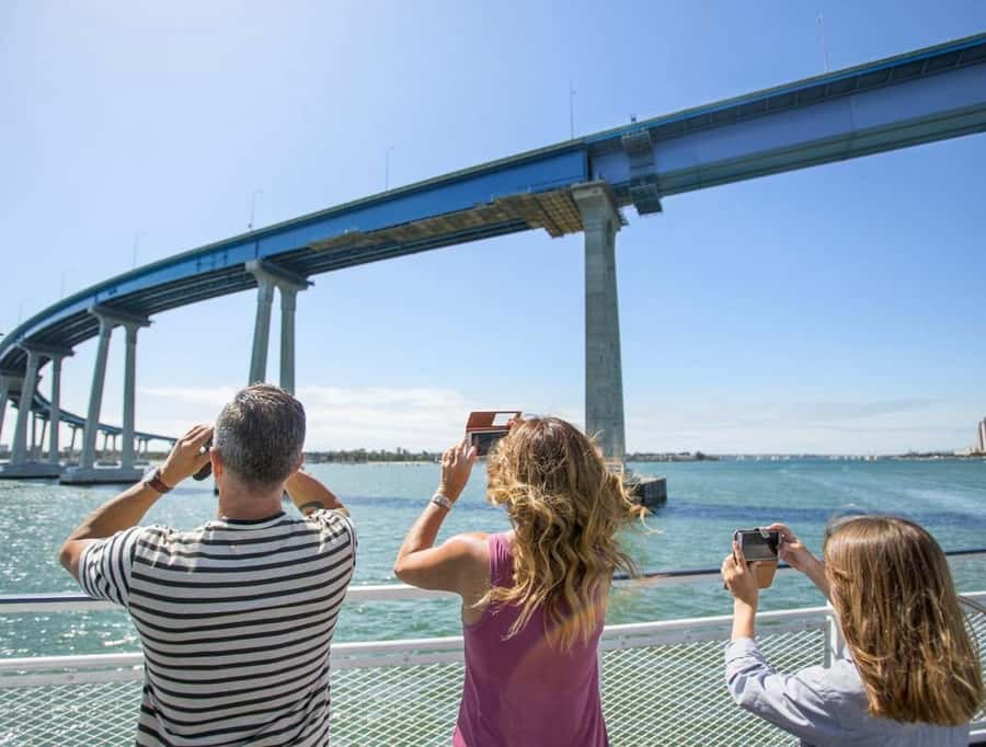 San Diego: Whale and Dolphin Watching Cruise - Cold, wind, and seasickness