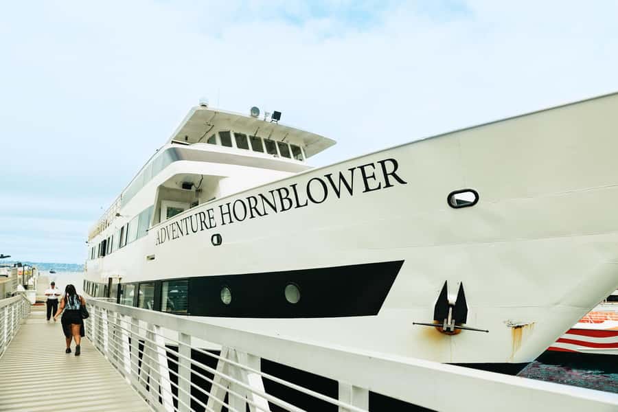 San Diego: Whale and Dolphin Watching Cruise - Families, couples, and first-time whale watchers