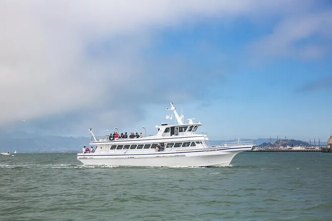 San Diego Whale/Dolphin Watching Cruise Aboard Luxury Vessel - What Peregrine feels like underway