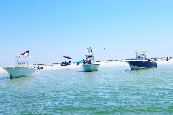 Sandbar, Beach, Dolphin Watching Cruise Sarasota, Florida - Key points to know before you book