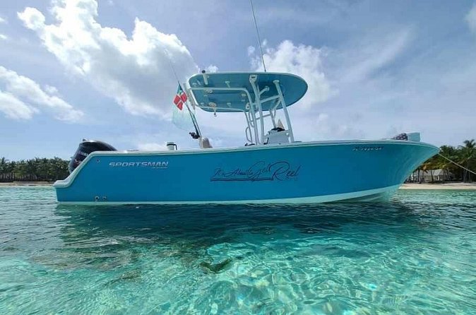 Sandbar, Beach, Dolphin Watching Cruise Sarasota, Florida - Wildlife watching around Sarasota and Siesta Key