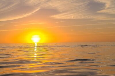 Sandbar, Beach, Dolphin Watching Cruise Sarasota, Florida