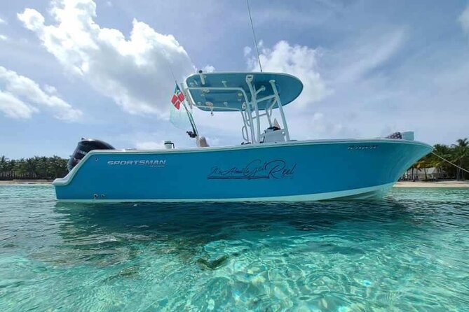 Sandbar, Beach, Dolphin Watching Cruise Sarasota, Florida - The captains make the difference