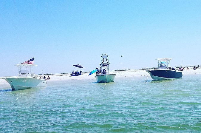 Sandbar, Beach, Dolphin Watching Cruise Sarasota, Florida - Is $495 a good value for up to six people?