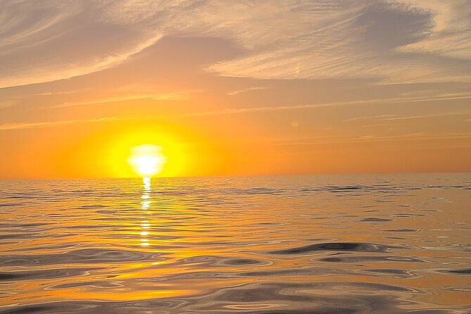 Sandbar, Beach, Dolphin Watching Cruise Sarasota, Florida - A private cruise with room to set the pace