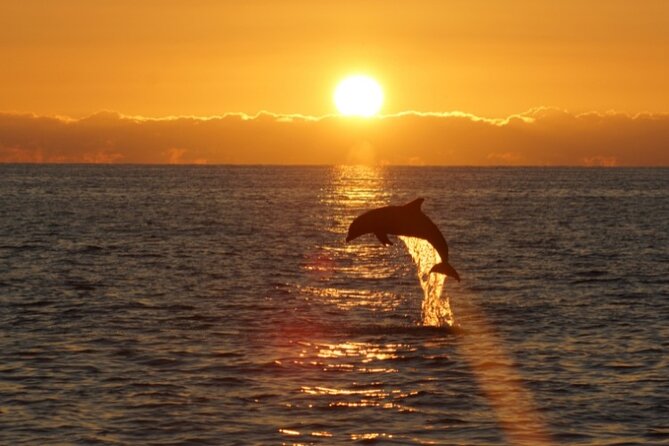 Sandestin Sunset Eco-Dolphin Cruise Aboard Sol y Luna - The sunset finish on Sol y Luna