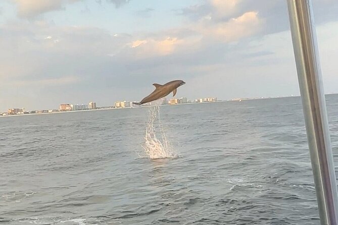 Sandestin Sunset Eco-Dolphin Cruise Aboard Sol y Luna - From 8330 Mike Hayes Drive to Choctawhatchee Bay