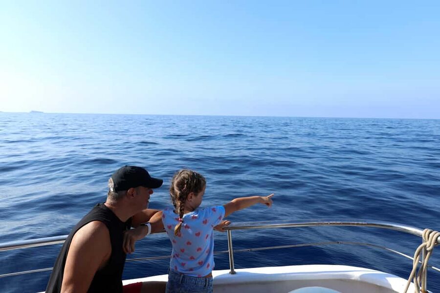 Santa Ponsa: Dolphin Watching Cruise - A more thoughtful dolphin-watching experience