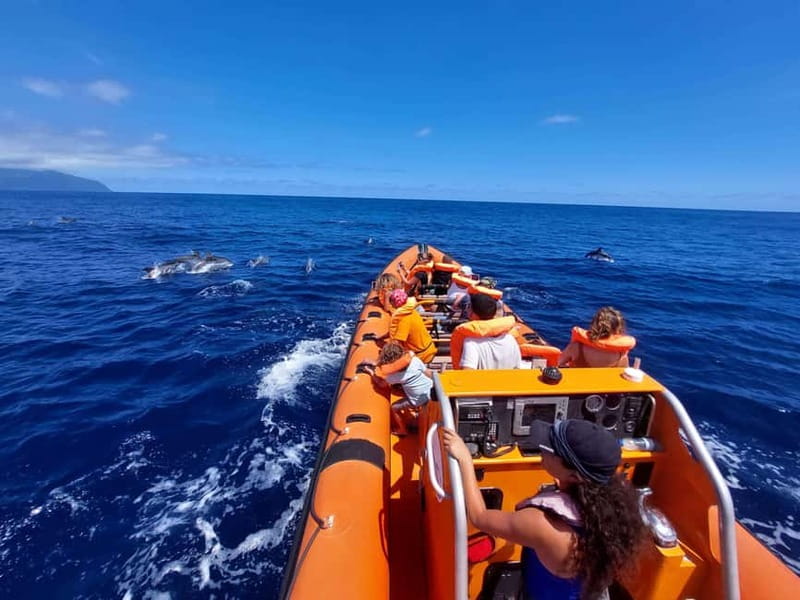São Miguel, Azores: Whale and Dolphin Watching Tour - Meeting the crew at Vila Franca do Campo Marina