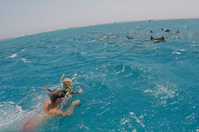 Sataya Dolphin House Snorkel Trip - Marsa Alam - Lunch on the Boat