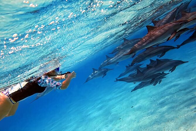 Sataya Dolphin House Snorkel Trip - Marsa Alam - Who Will Enjoy This Most