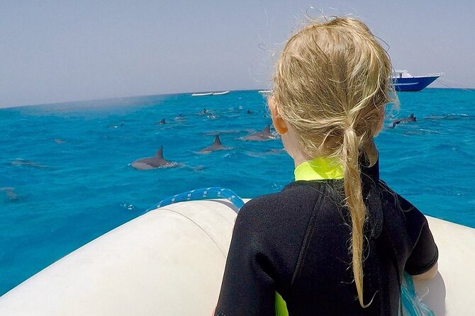 Sataya Dolphin House Snorkel Trip - Marsa Alam - Safety, Wildlife Etiquette, and Weather