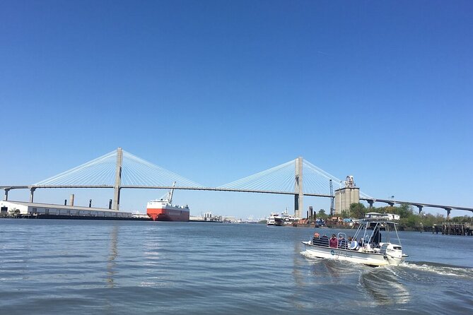 Savannah Coastal Dolphin Eco Tour - Key points to know before you book