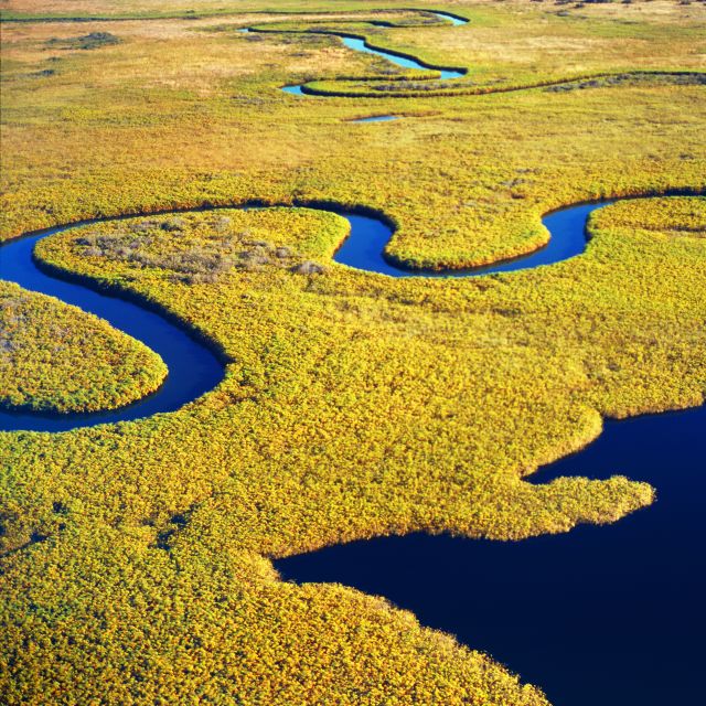 Savannah: Dolphin Spotting and Wildlife Eco Cruise - Simple ways to prepare for the River Explorer