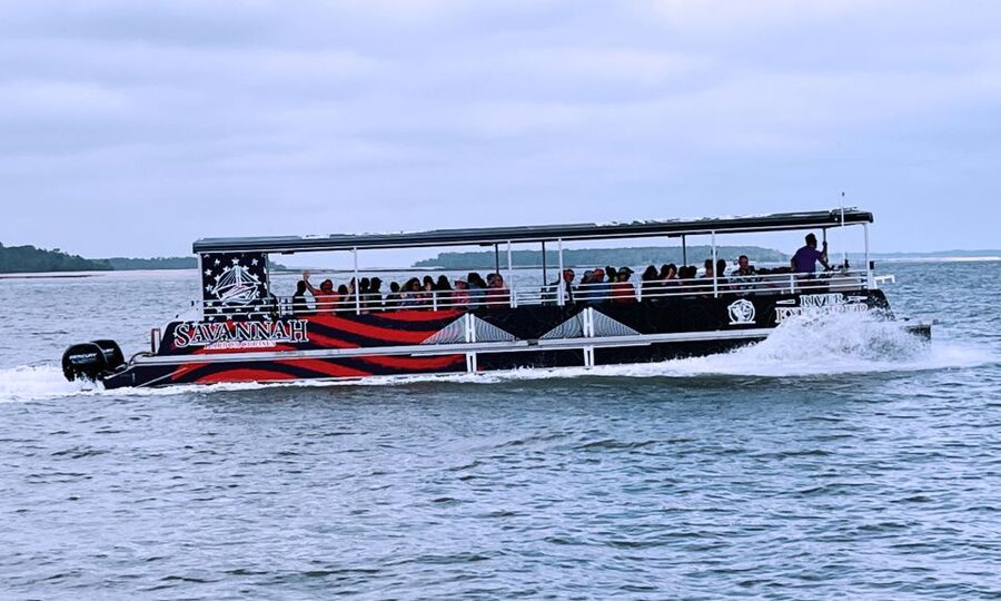 Savannah: Dolphin Spotting and Wildlife Eco Cruise - The crew makes the difference