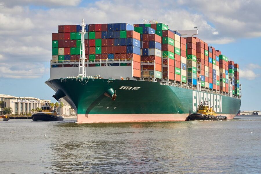 Savannah: Dolphin Spotting and Wildlife Eco Cruise - Who will enjoy this cruise most