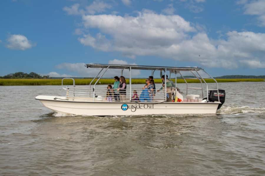 Savannah: Dolphin Spotting Eco Tour with Experienced Captain - Key points to know before booking