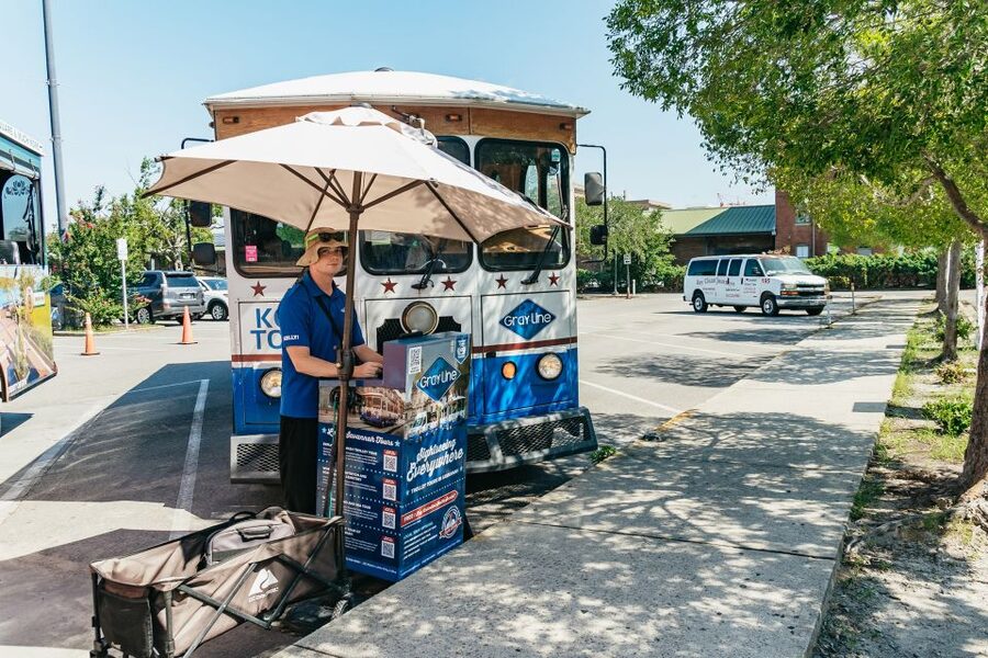 Savannah: Tybee Island Dolphin Tour - Practical tips for a smoother day