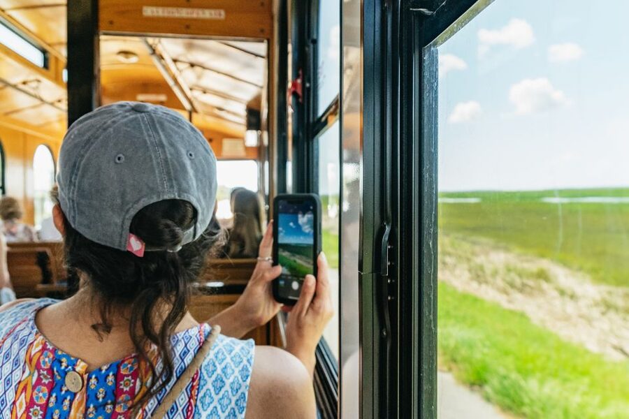 Savannah: Tybee Island Dolphin Tour - What the $74 price really covers