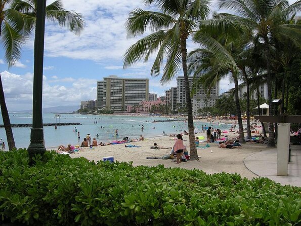 Sea Safari, Dolphins, Turtles and Waikiki Cruise - What This One-Hour Waikiki Cruise Really Offers