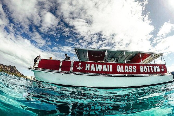 Sea Safari, Dolphins, Turtles and Waikiki Cruise - Boarding at Kewalo Basin Near Ward Avenue