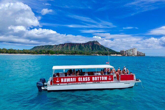 Sea Safari, Dolphins, Turtles and Waikiki Cruise - Waikiki Beach From the Water