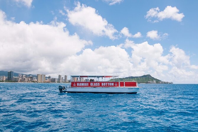 Sea Safari, Dolphins, Turtles and Waikiki Cruise - Who Gets the Best Value at $46
