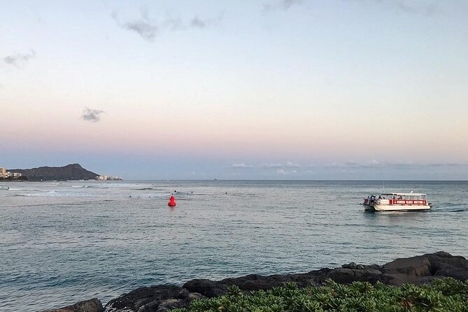 Sea Safari, Dolphins, Turtles and Waikiki Cruise - Timing, Comfort, and Practical Details