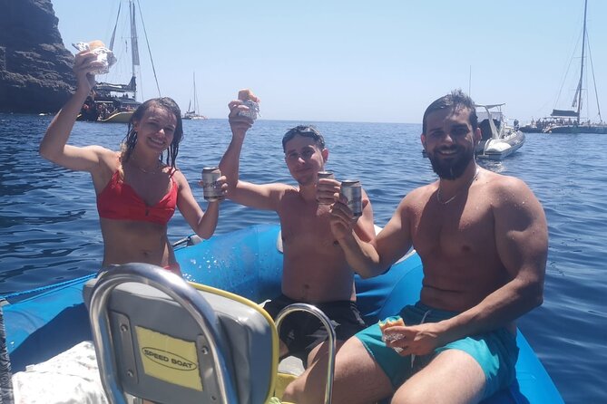 SEA SAFARI Dolphins, Whales, 3h speedboat DISCOVERY-TOUR - Key points at a glance