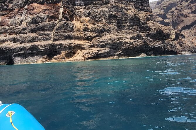 SEA SAFARI Dolphins, Whales, 3h speedboat DISCOVERY-TOUR - Drinks, sandwiches, and what you need to bring