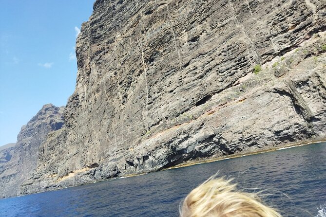 SEA SAFARI Dolphins, Whales, 3h speedboat DISCOVERY-TOUR - How the $78.10 price works out