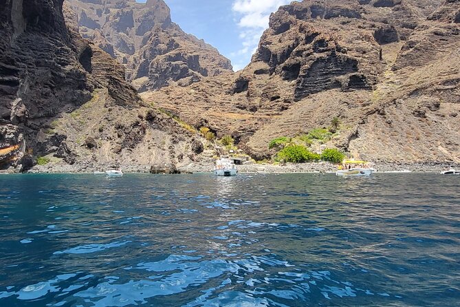SEA SAFARI Dolphins, Whales, 3h speedboat DISCOVERY-TOUR - A speedboat built for a three-hour search