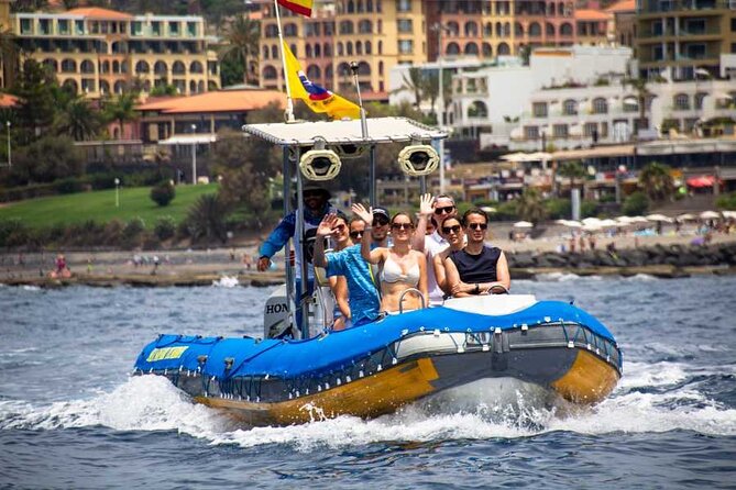 SEA SAFARI, Dolphins, Whales, snorkeling, snack and drink, 2 h speedboat - Setting out from Costa Adeje