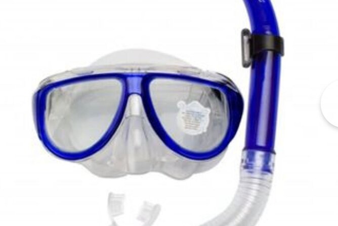 SEA SAFARI, Dolphins, Whales, snorkeling, snack and drink, 2 h speedboat - A stop for swimming and snorkeling