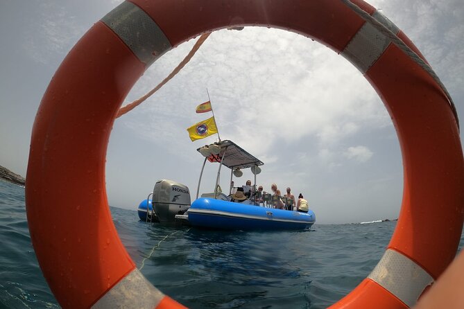 SEA SAFARI, Dolphins, Whales, snorkeling, snack and drink, 2 h speedboat - What the $54.13 price buys you